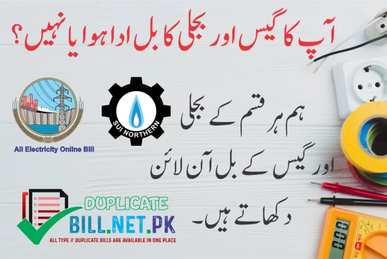 How to Check Your Bill Online on Bill.net.pk