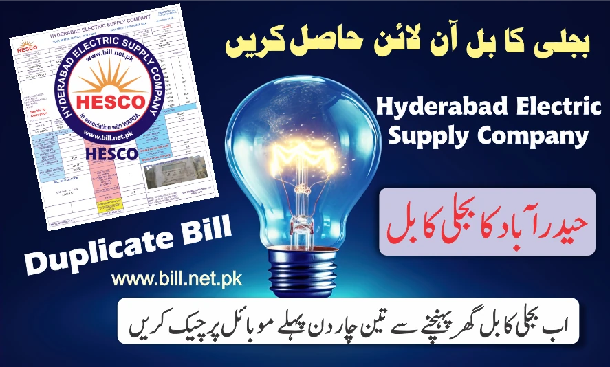 ⚡ HESCO Duplicate Online Bill ⚡ Hyderabad Electric Supply